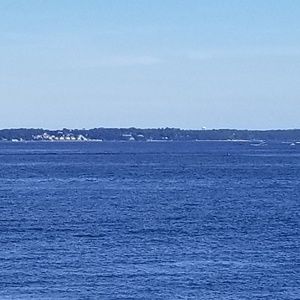 Meet your Posher, Holly